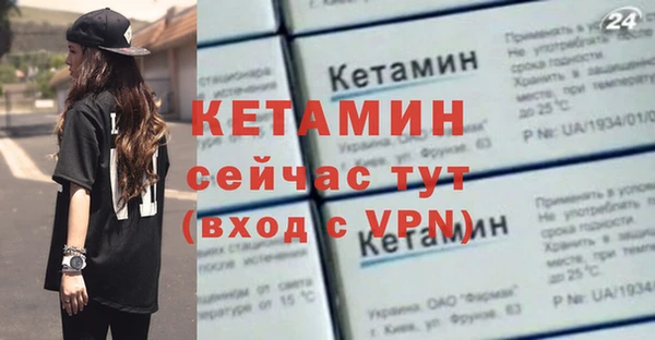 гашик Тайга