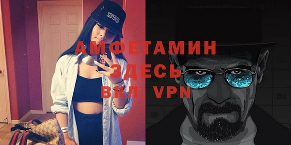 индика Мегион
