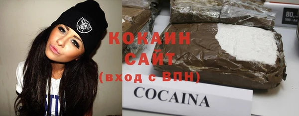 меф Няндома