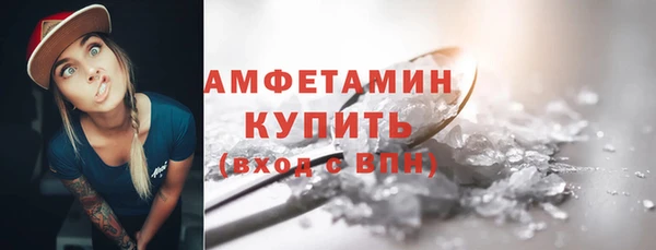 индика Мегион