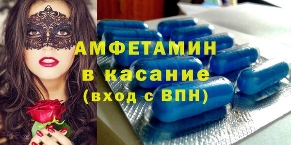 индика Мегион