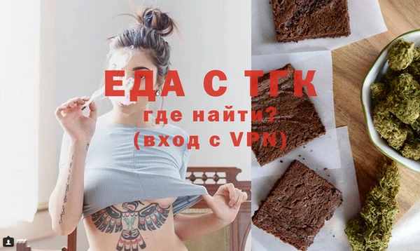 индика Мегион