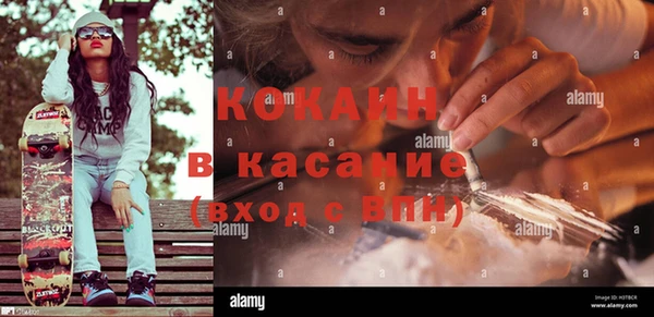 амф Анива
