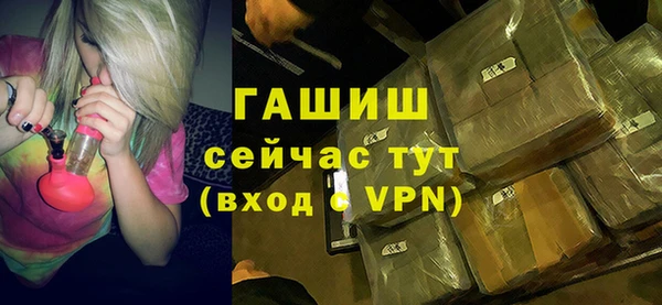 индика Мегион