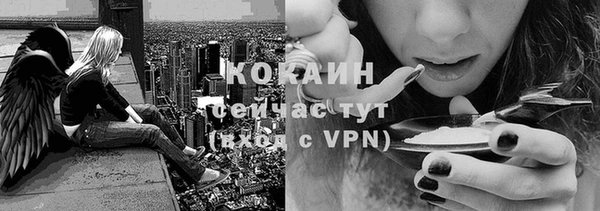 индика Мегион