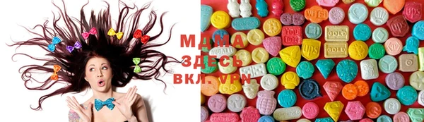 индика Мегион