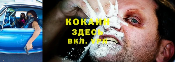индика Мегион