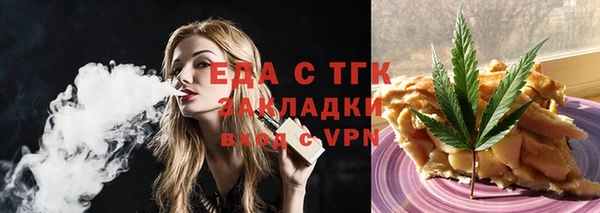 индика Мегион