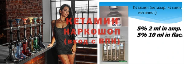 индика Мегион