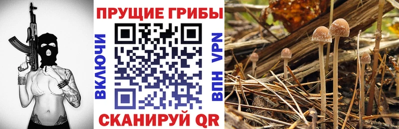МЕГА онион  продажа наркотиков  Усолье  Псилоцибиновые грибы ЛСД 